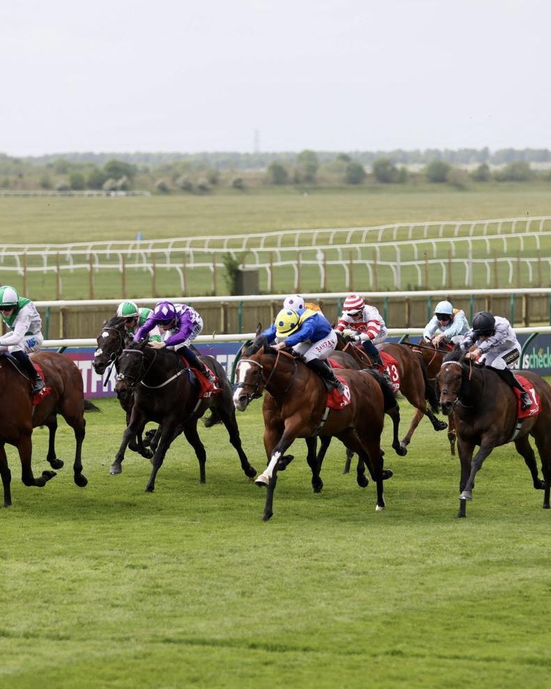 DiscoverNKT's tweet image. The countdown is on… ⏰

Just one week until racing returns to the prestigious Newmarket Rowley Mile 🏇 

We can’t wait to welcome the thrill of race day back!

#DiscoverNewmarket #Newmarket #HorseRacing