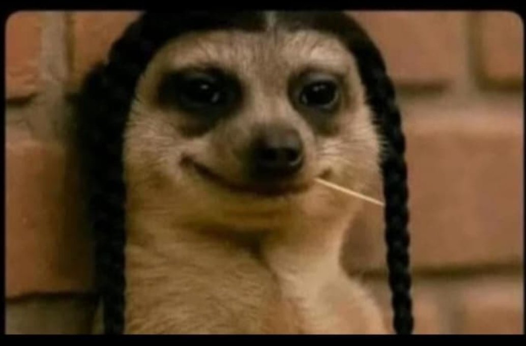 Raph🚀 tweet media