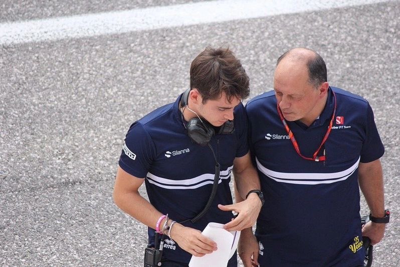 daily lestappen tweet media