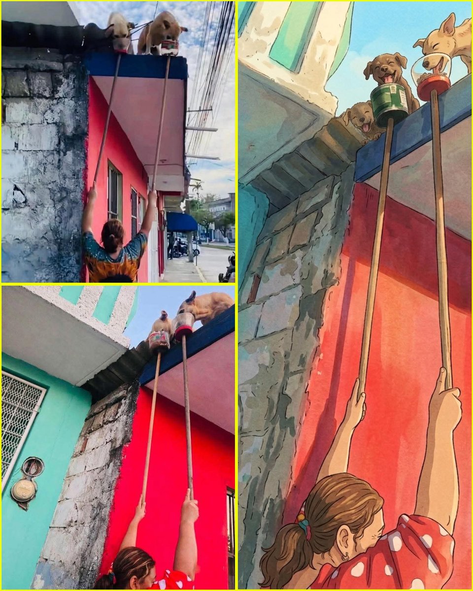 Tomás C. tweet media