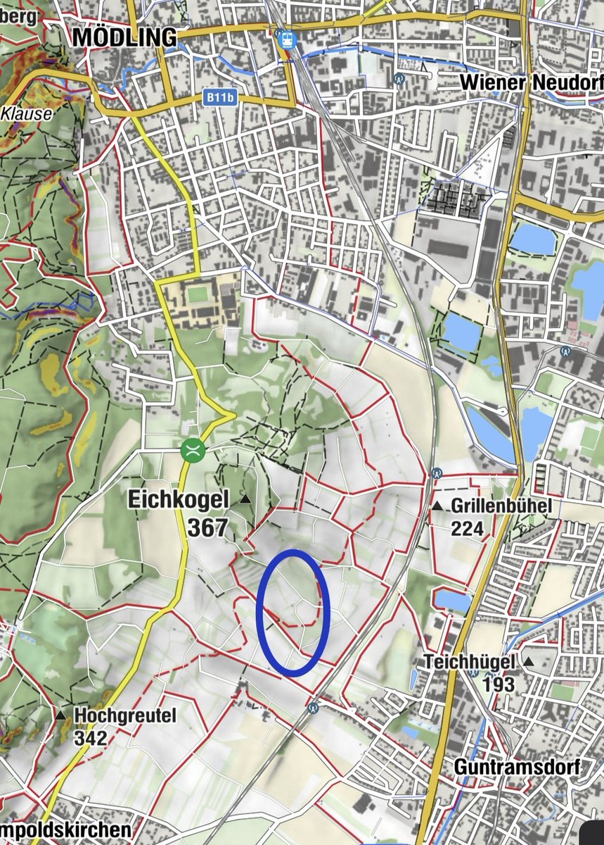 Nikolas Zimmermann tweet media