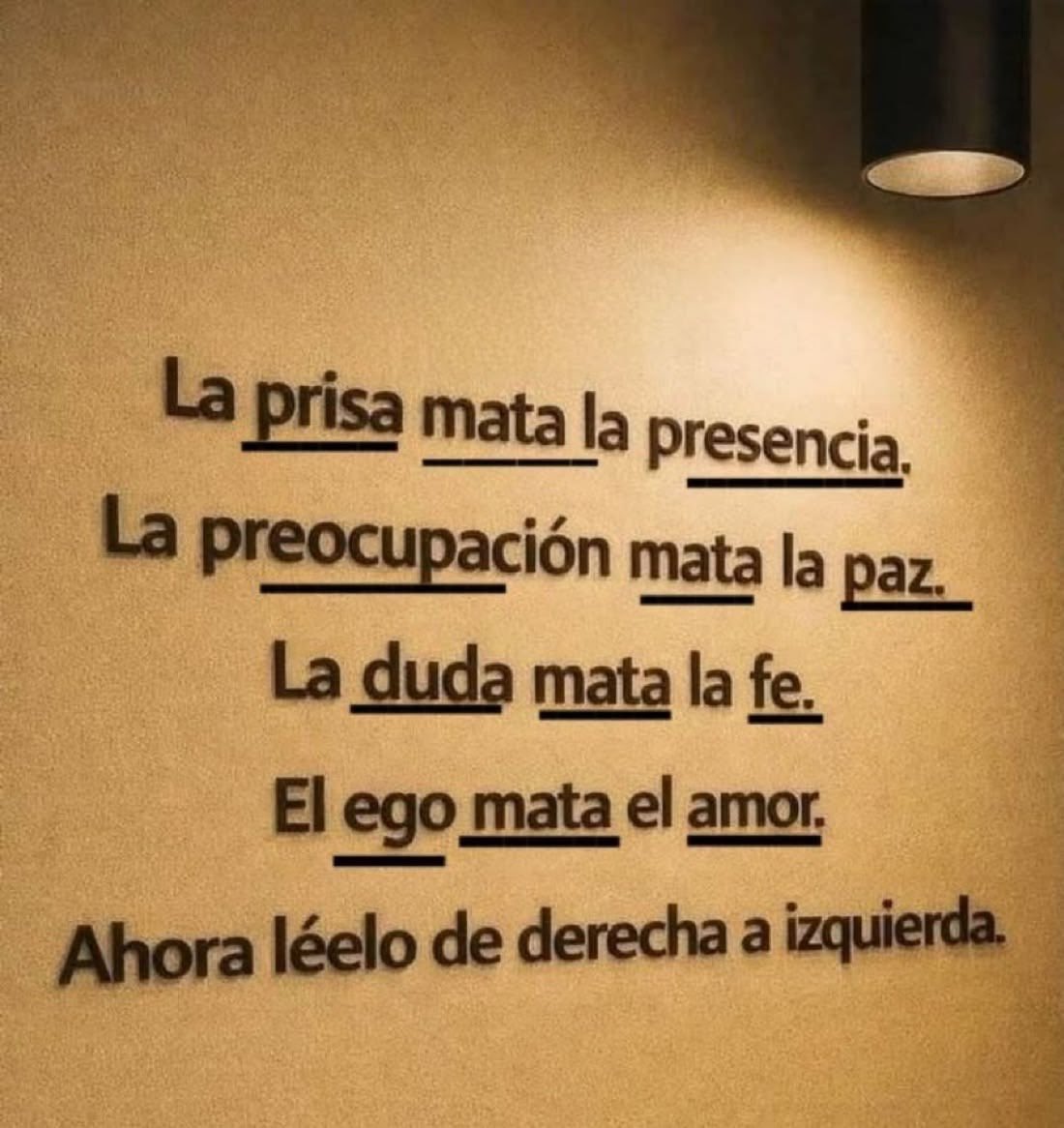 Disciplina tweet media