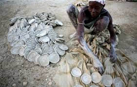 White Dominican tweet media