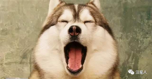 Сергей Ермаков tweet media