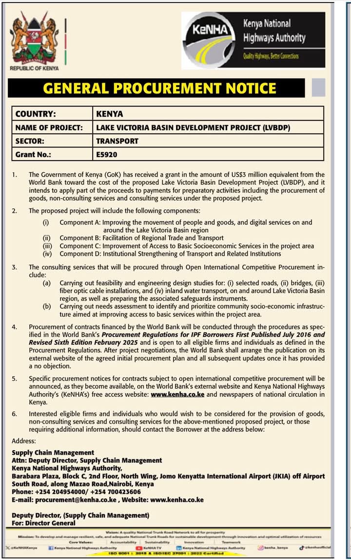 Tilingi 🐘 tweet media