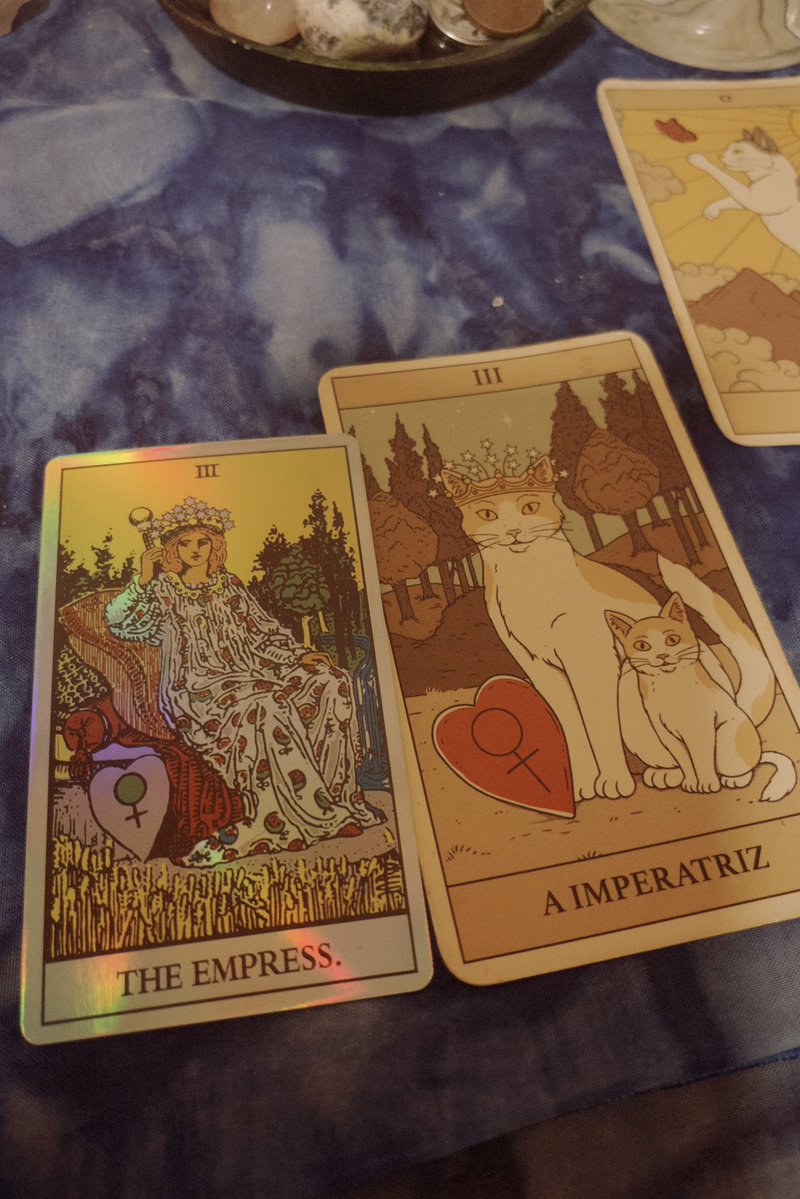 𝓑ia | Cartomante ⋆˚꩜｡ MESA ABERTA tweet media