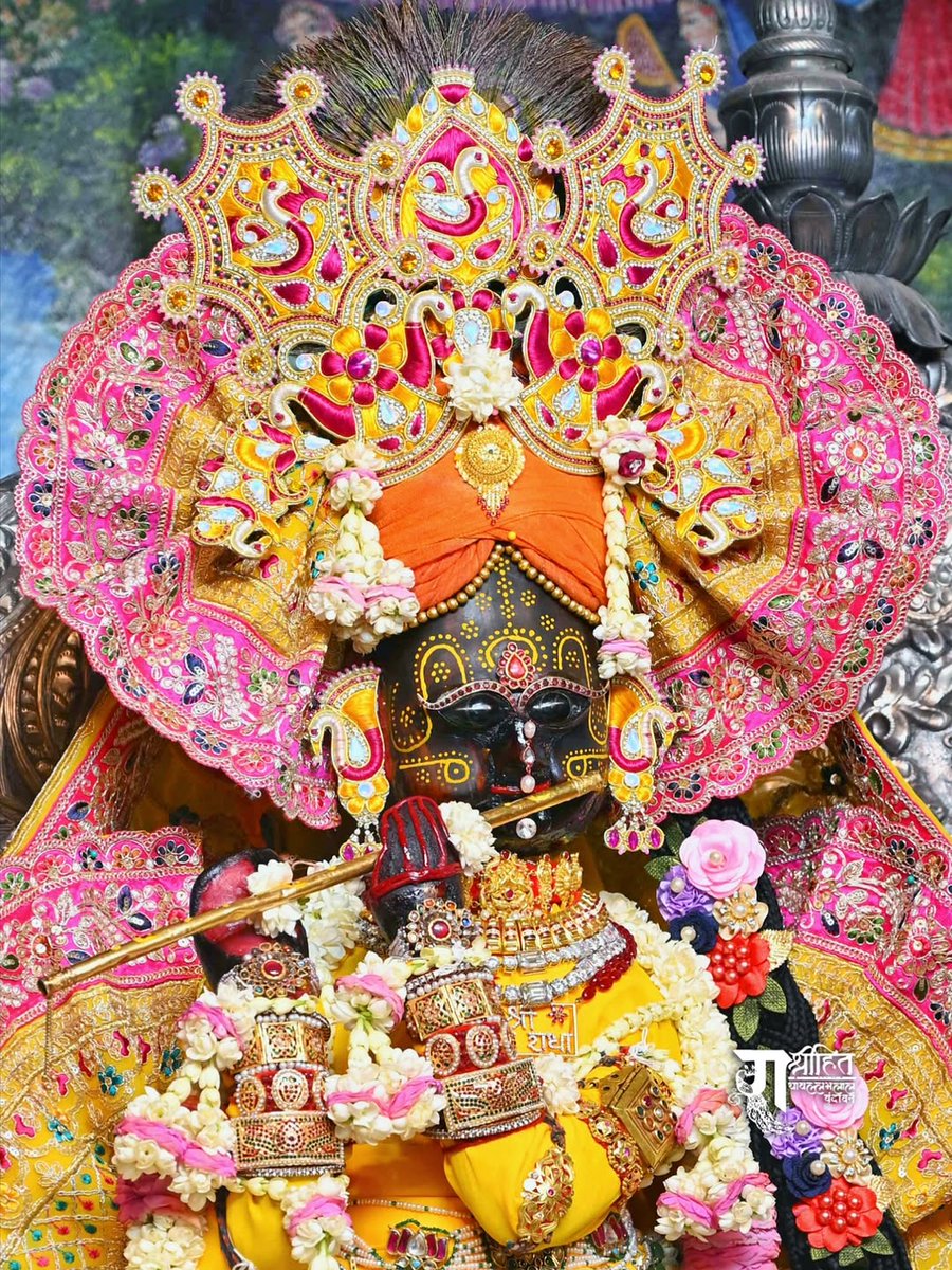 Radhika Ras 🪷 tweet media