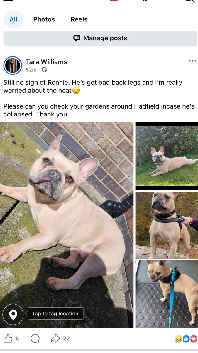 chris towers tweet media