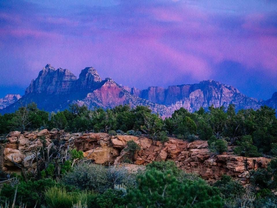 Jeff Smith tweet media