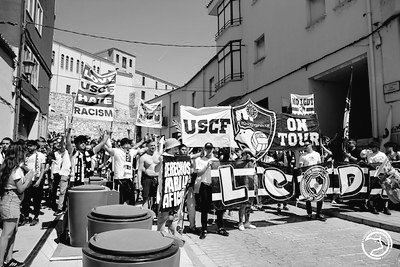 USCF2013 ⚔️ tweet media