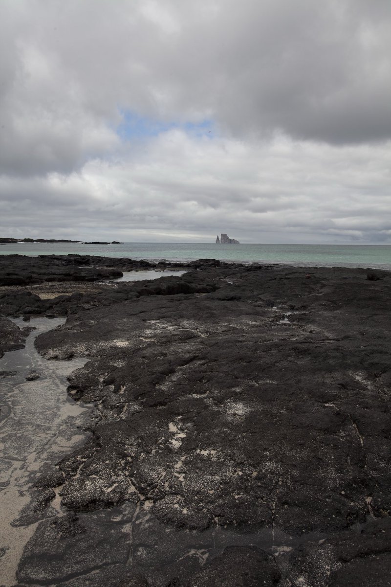 j saggio tweet media