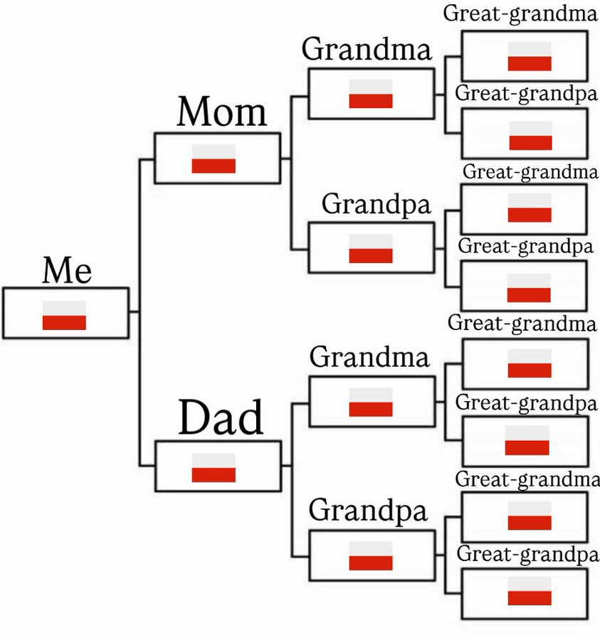 coolfonpl 🇵🇱 tweet media