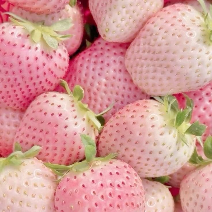 The real Hlökk ♡ tweet media