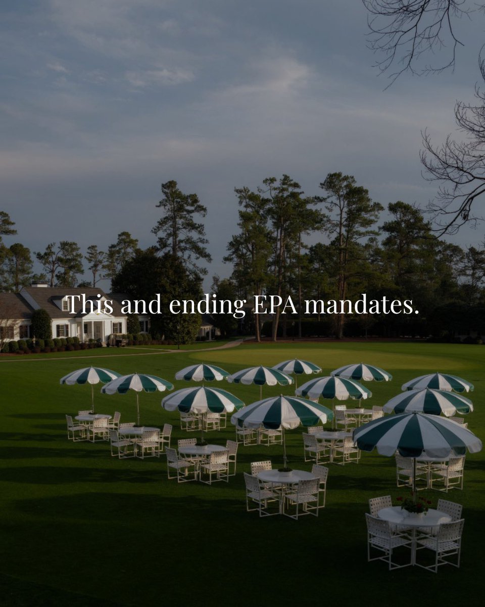 Rep. Mike Collins tweet media