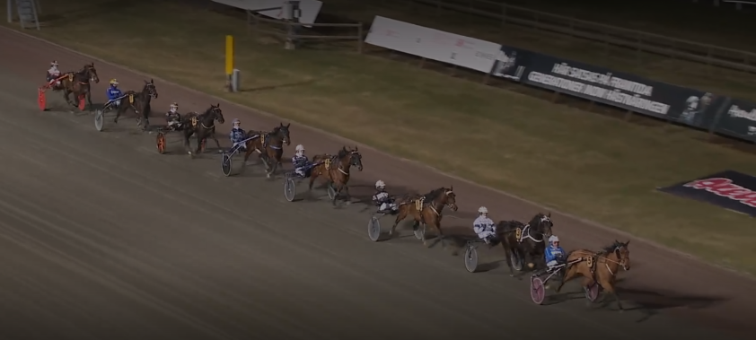 Teamtrasselcom tweet media