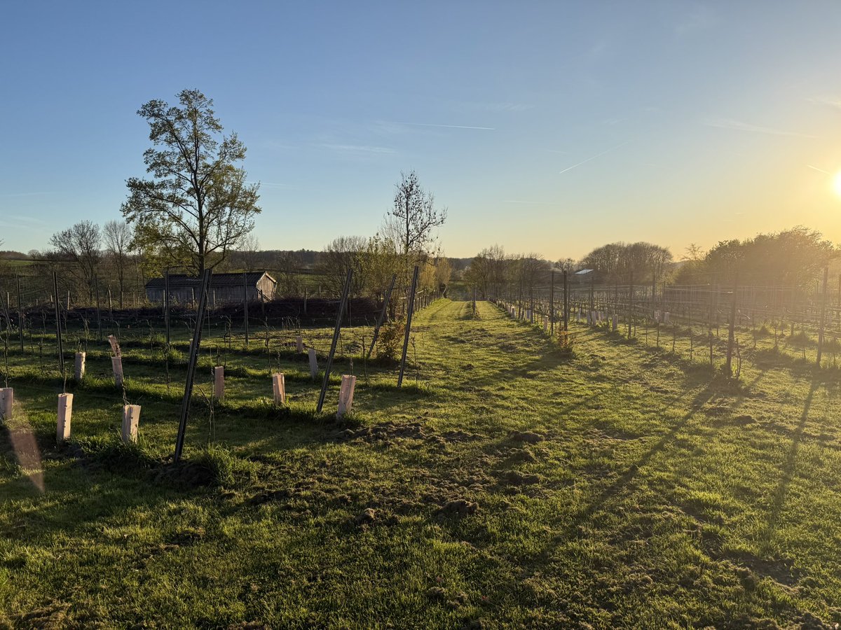 Magnifiek Zuid-Limburg tweet media
