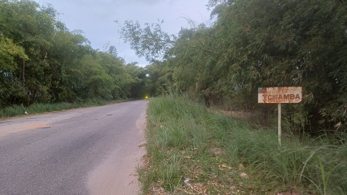 Z buta dookoła Świata tweet media