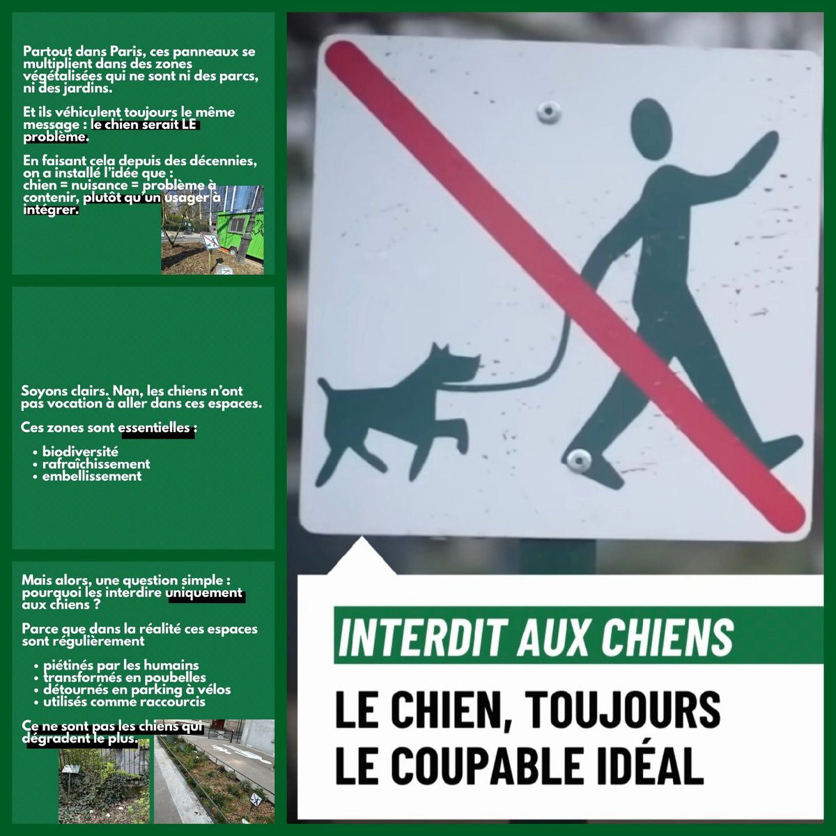 EdenVal1's tweet photo. 🔊Message de Service @PARCC_Paris 
#ChiensEnVille #BienÊtreAnimal #EspacesVerts #PolitiquesUrbaines #LienSocial #EngagementMunicipal #Paris2026 ⬇️🐾🐾💕 https://t.co/7hMJJeDgIs