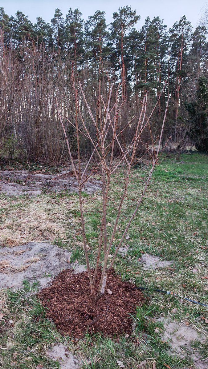 UrlaubsHansi tweet media