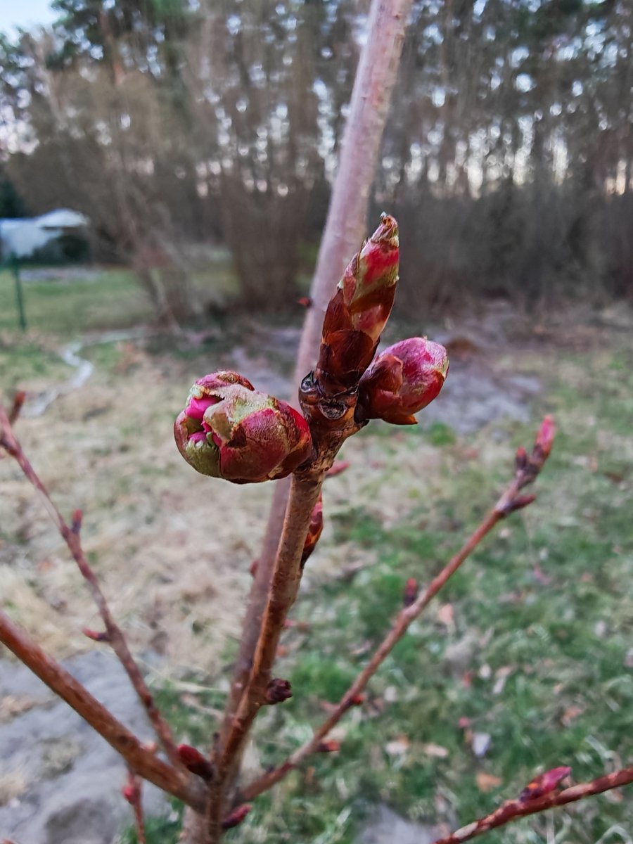 UrlaubsHansi tweet media