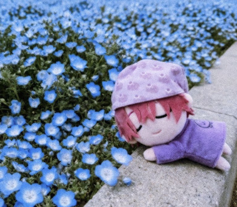 りつこ tweet media