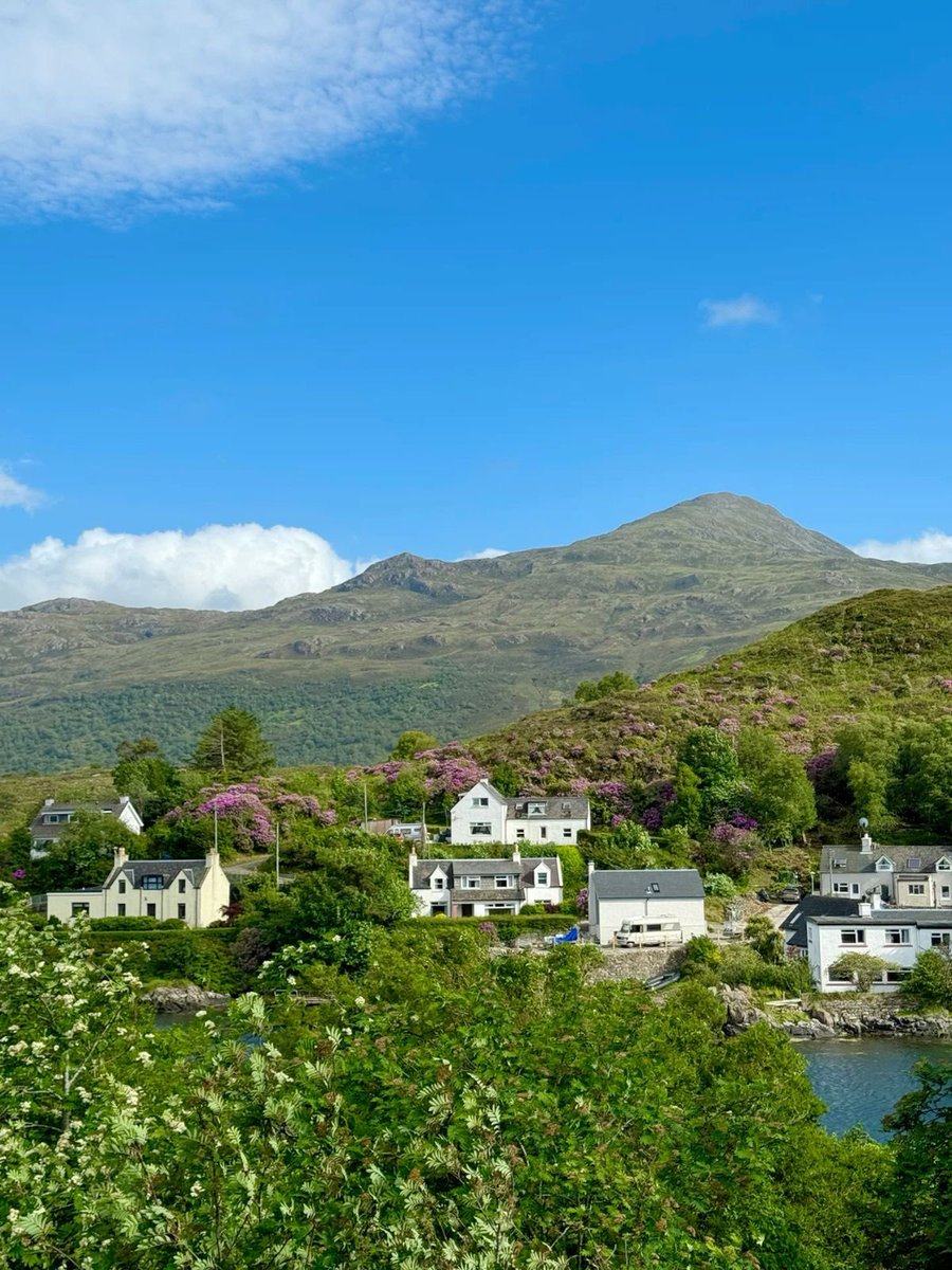 vistaaura tweet media