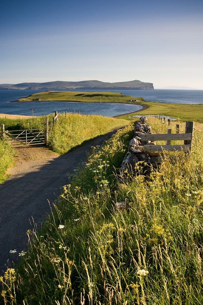 vistaaura tweet media