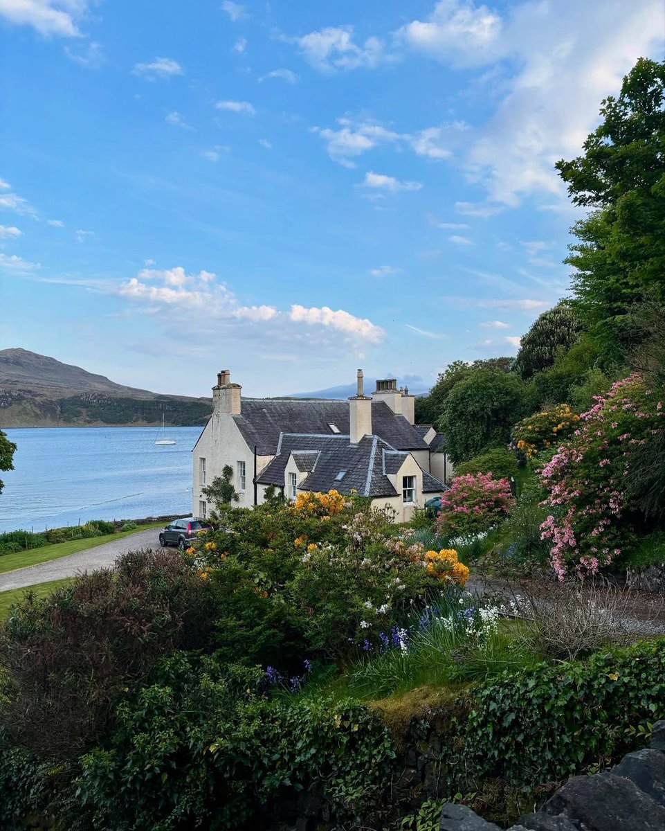 vistaaura tweet media