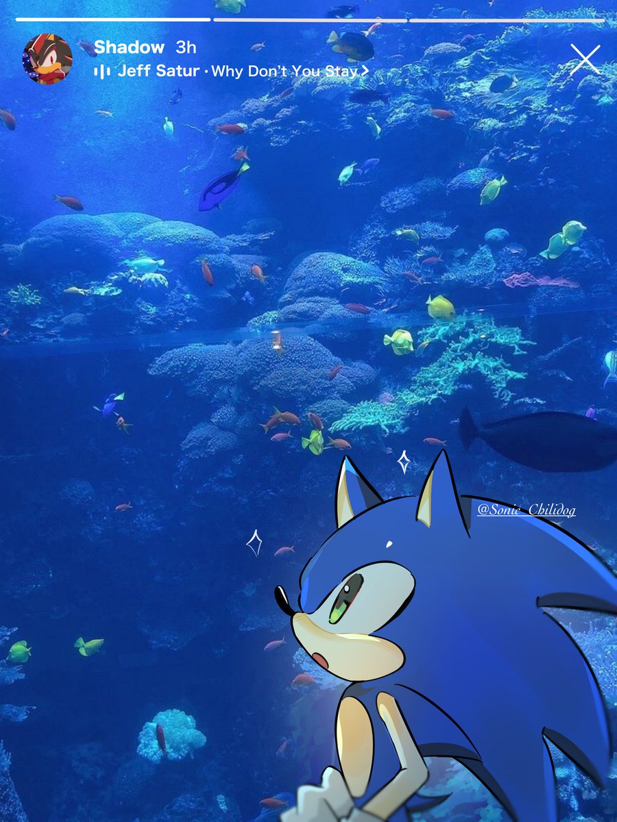 ꜰᴜʏᴜᴋɪ💭💙🖤 tweet media