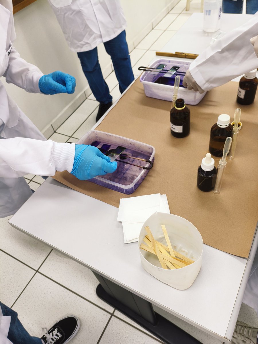 studies_lala's tweet image. laboratório com ela @shystudy 

#medtwt #collegetwt #studytwt