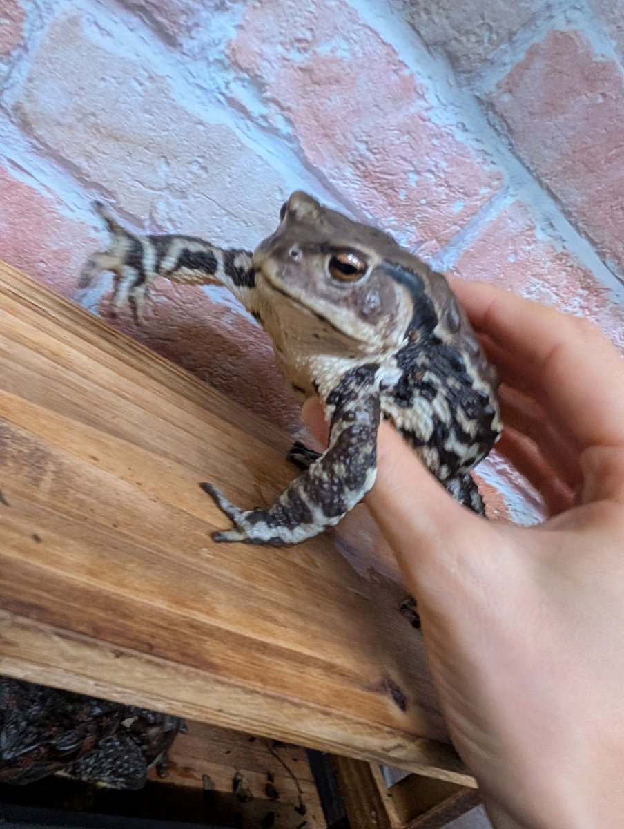 確定申告 tweet media