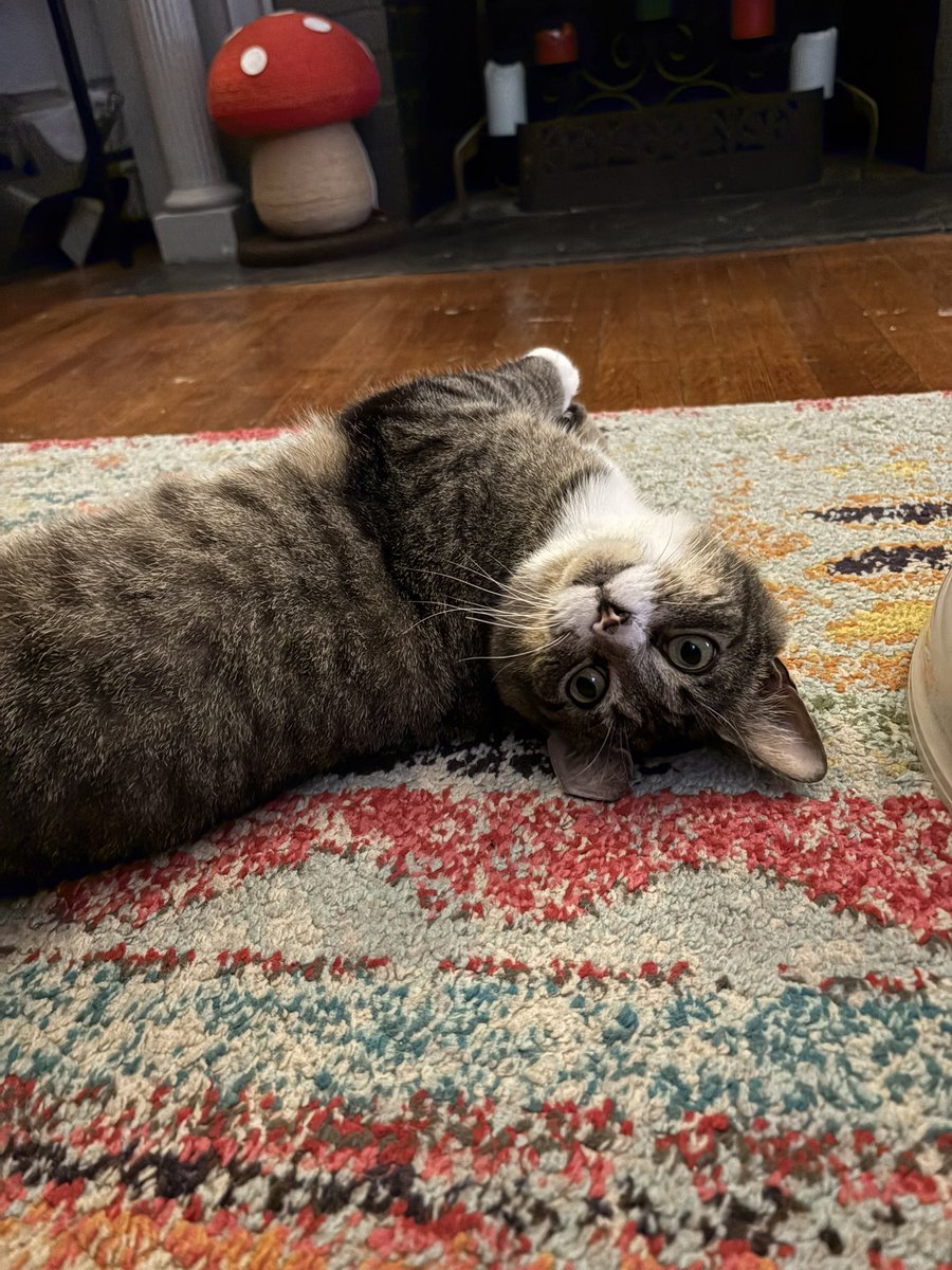 summer🪴🍉 tweet media