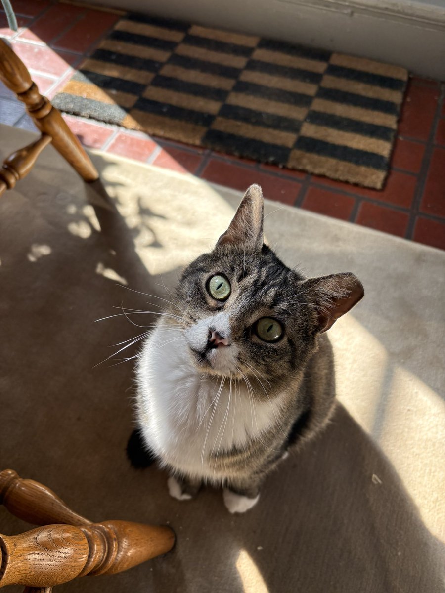 summer🪴🍉 tweet media