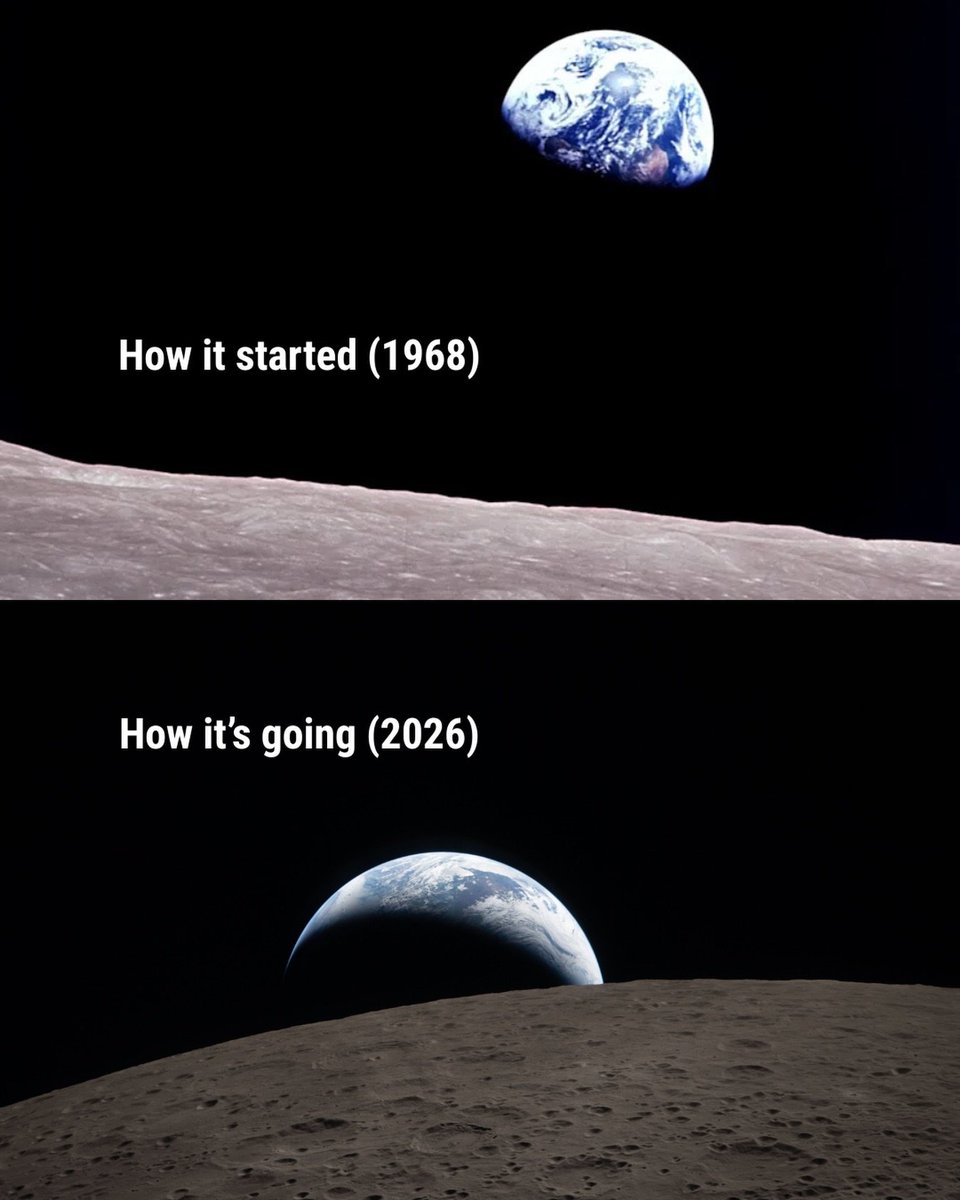 Curiosity tweet media