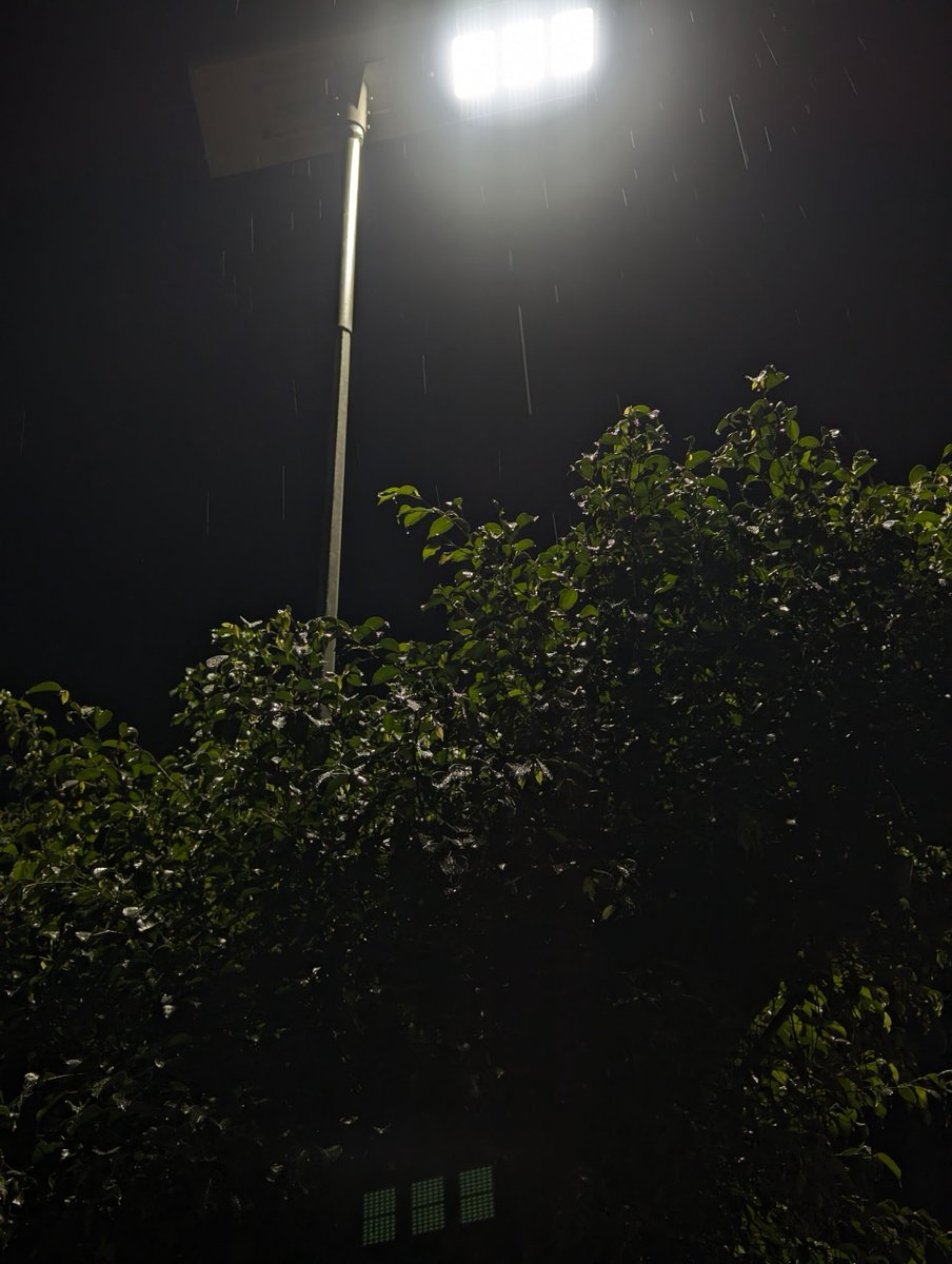 Lloyd★† tweet media