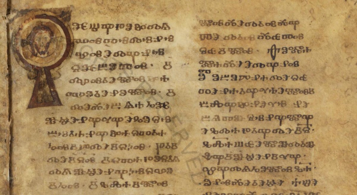 Kamil Bachmińſki tweet media