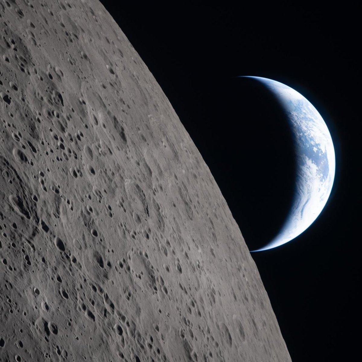 Taylor McCoy 🦖 tweet media