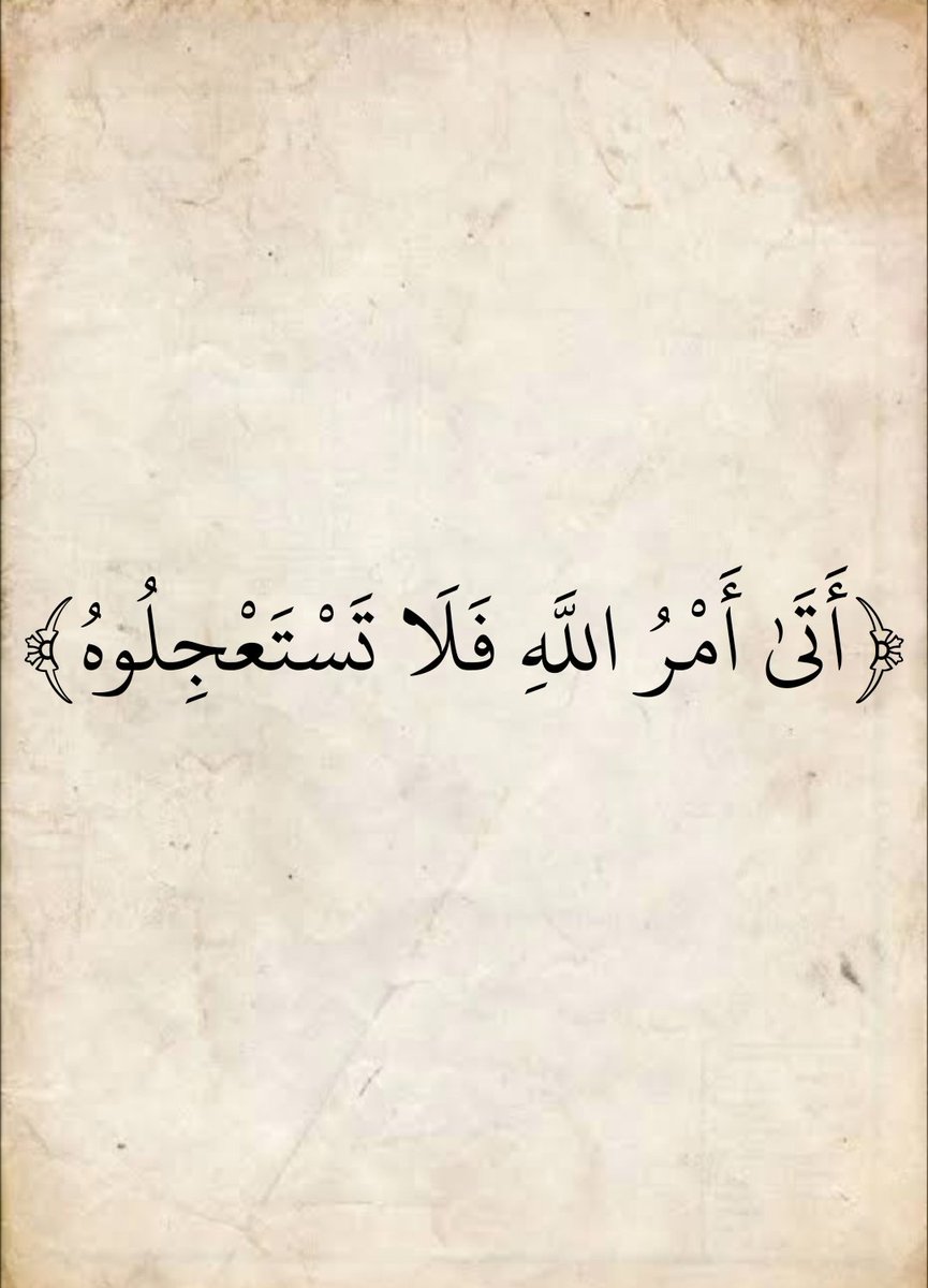 المُصْحَف tweet media