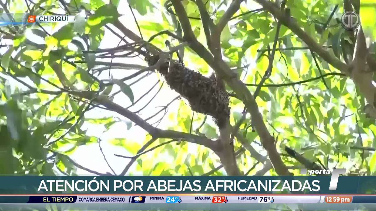 Telemetro Reporta tweet media