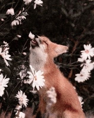 sunootini tweet media