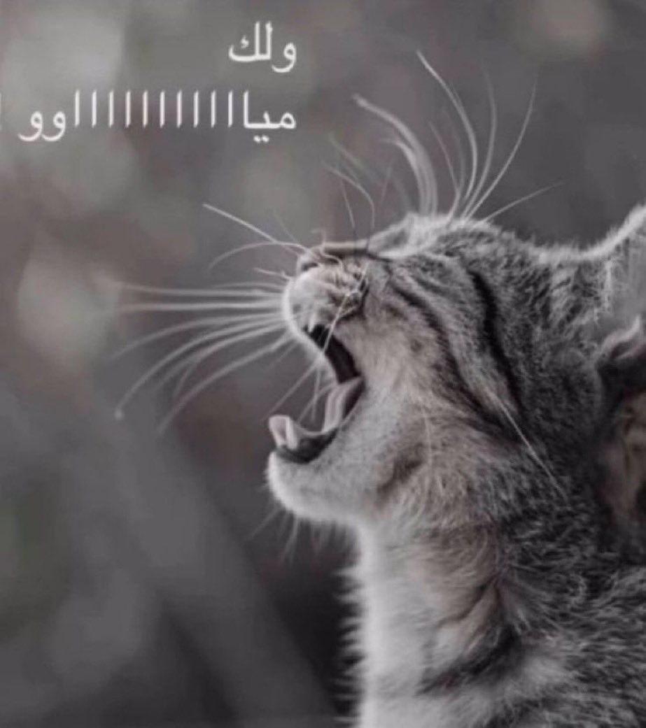 #malcomOut tweet media