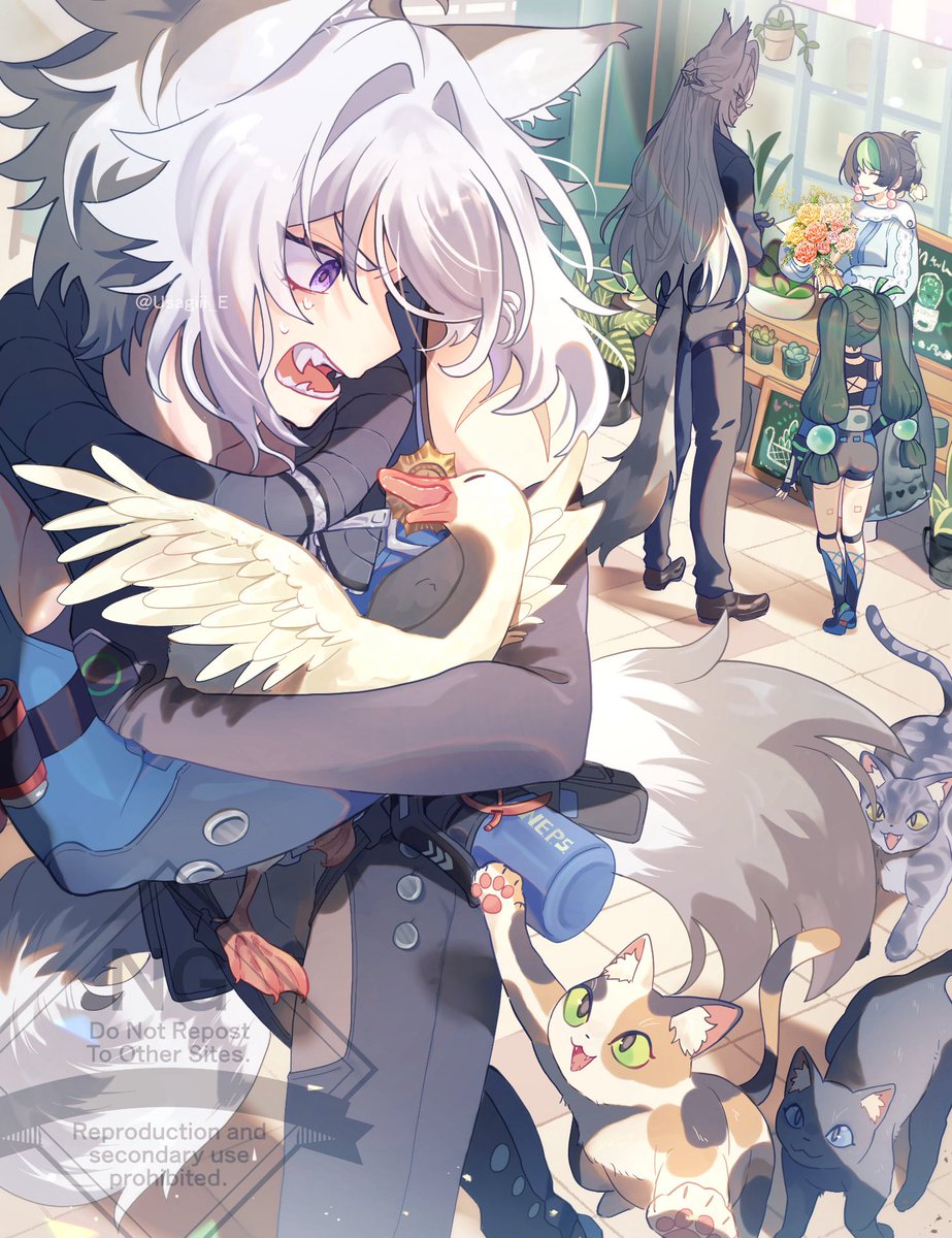 うさぎE tweet media