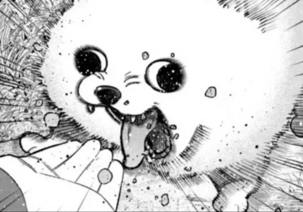 I.shoyo.0621 tweet media