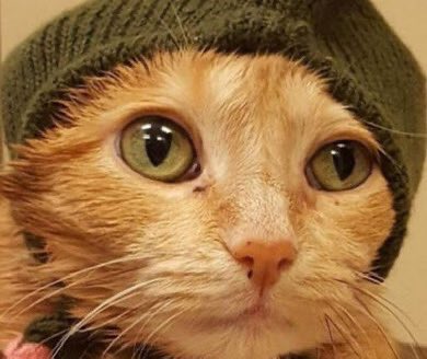 angel ☆★ tweet media