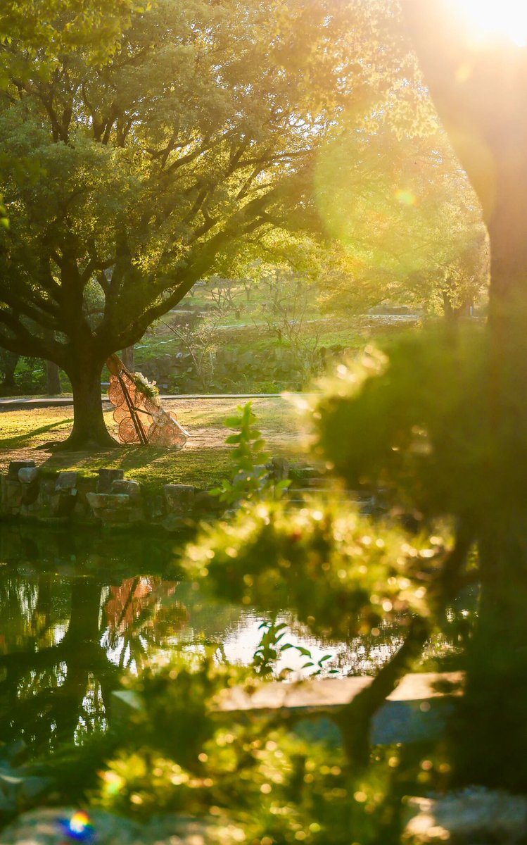 DIPIKA DUBEY tweet media