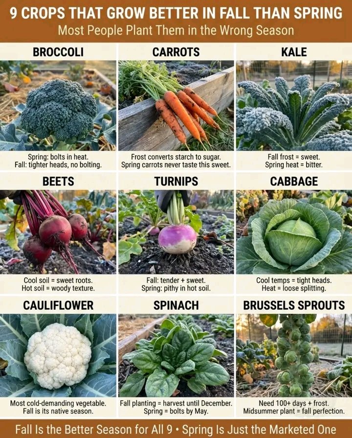 The gardening calendar tells you to plant these in spring. For most of ...