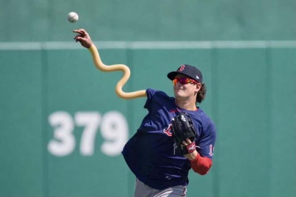 HAM Margera tweet media