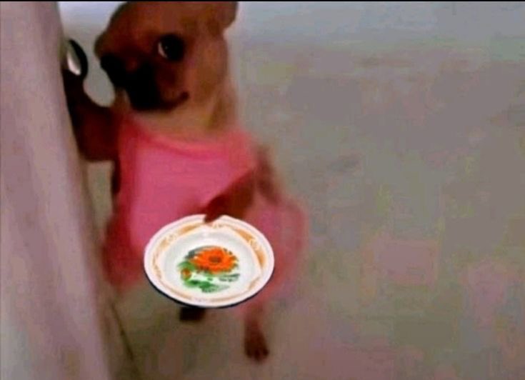 ⋆.˚ nanda 🌙ྀིྀི tweet media