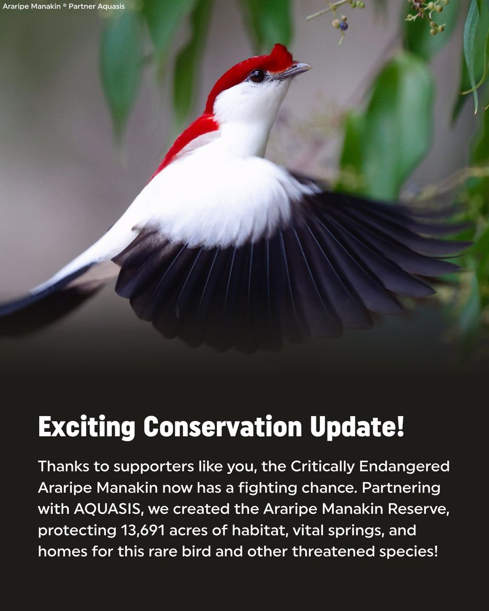 Rainforest Trust tweet media