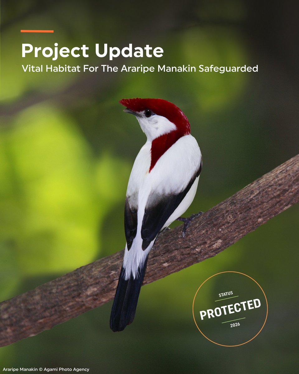 Rainforest Trust tweet media